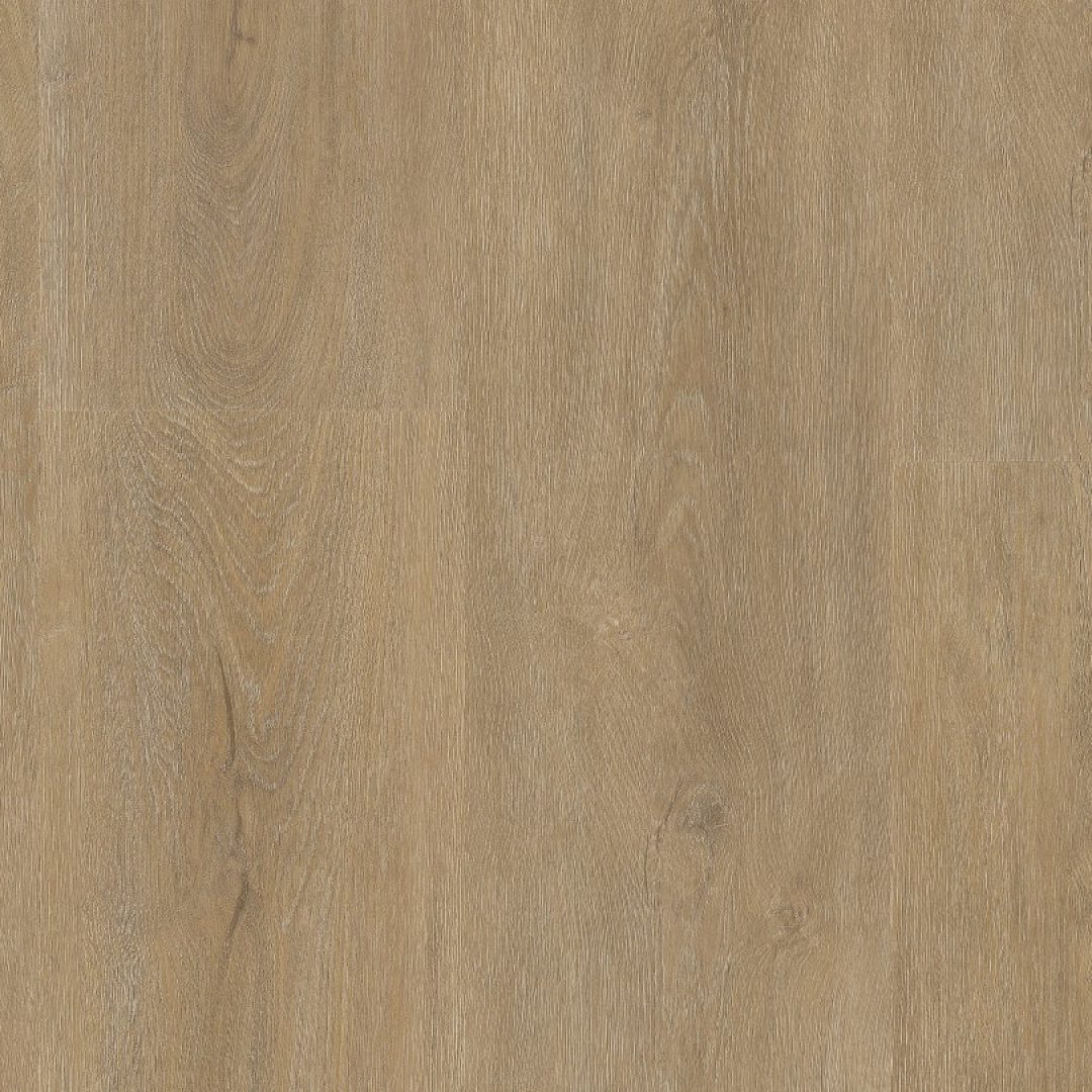 P430 dryback natural oak