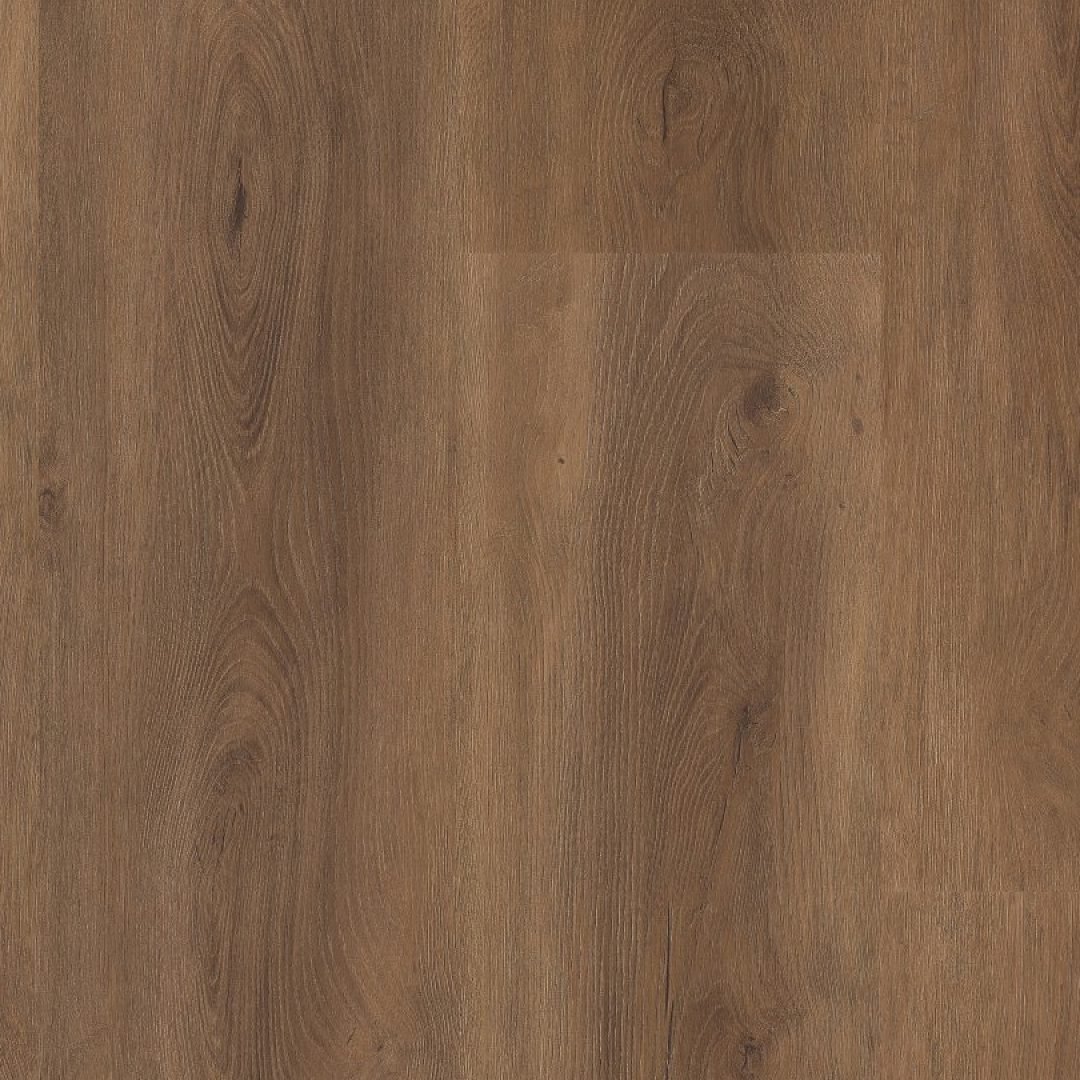 P430 dryback warm brown