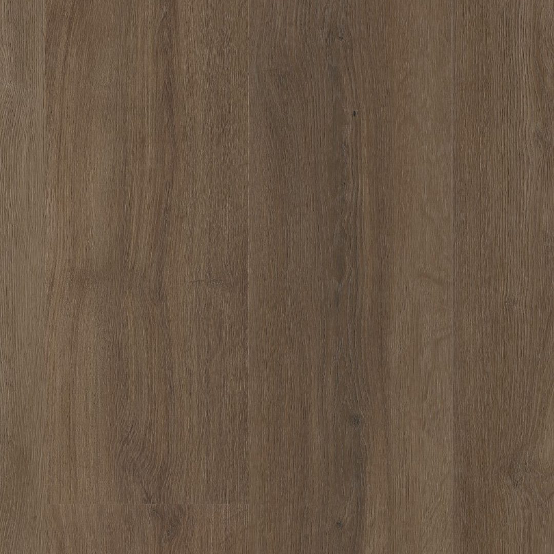 P475 click SRC warm brown