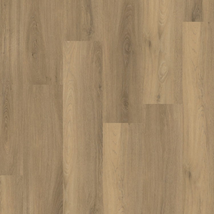 P400 dryback natural