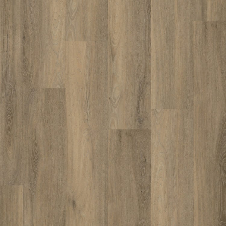 P400 dryback smoky