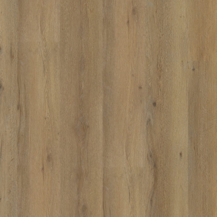 P410 dryback dark oak