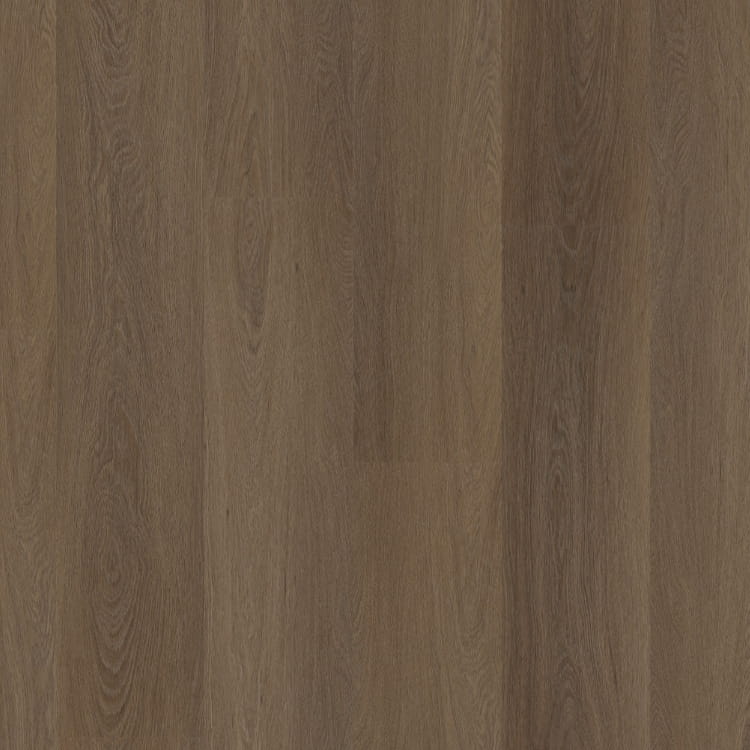 P420 dryback brown