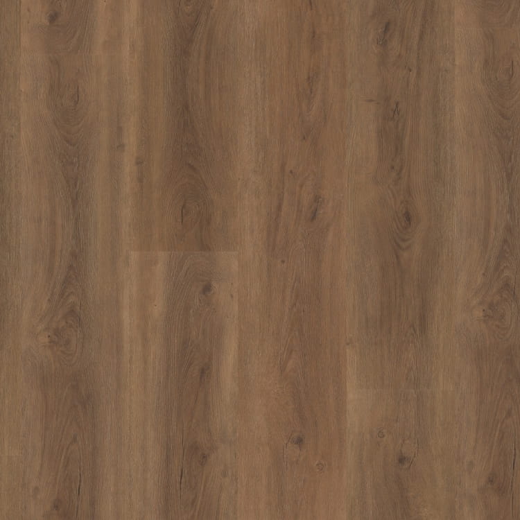P430 dryback warm brown