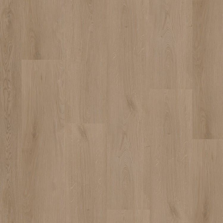 P440 dryback dark oak