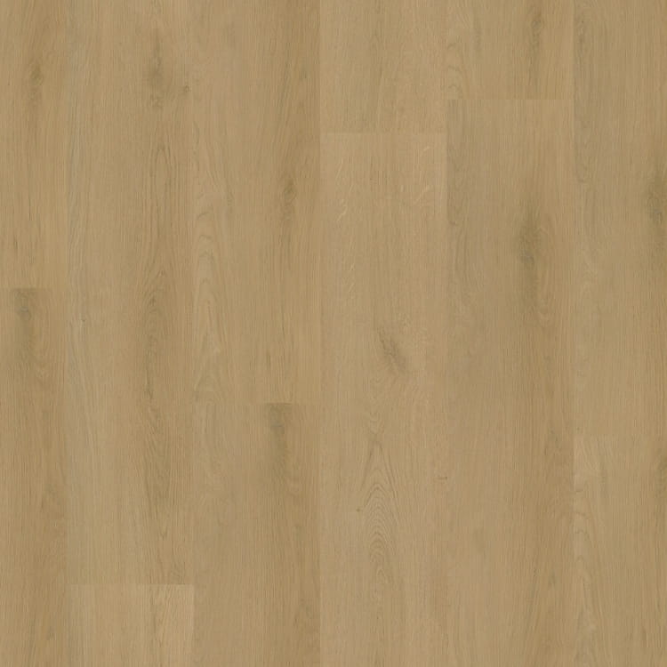 P440 dryback light oak