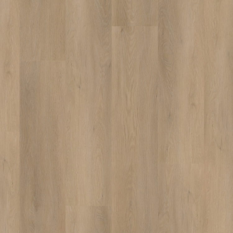 P450 dryback beige