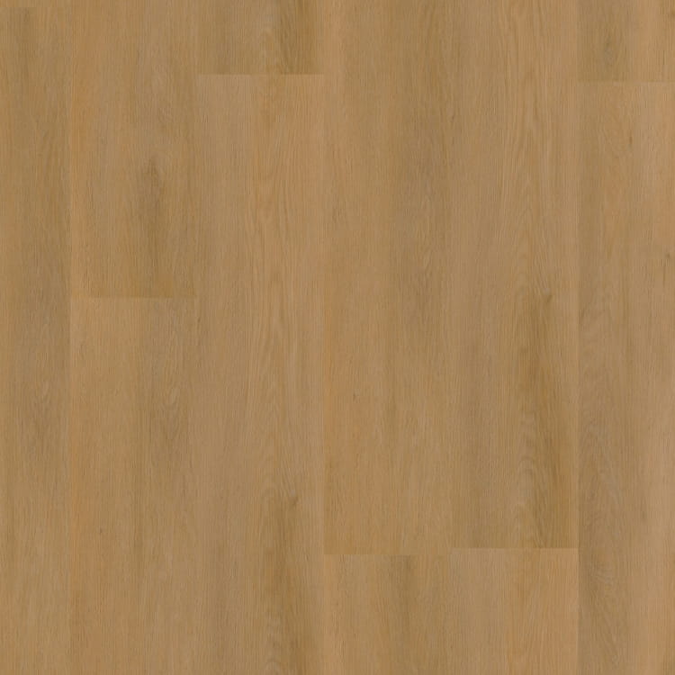 P450 dryback dark oak