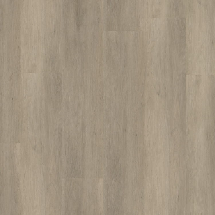 P450 dryback smoky