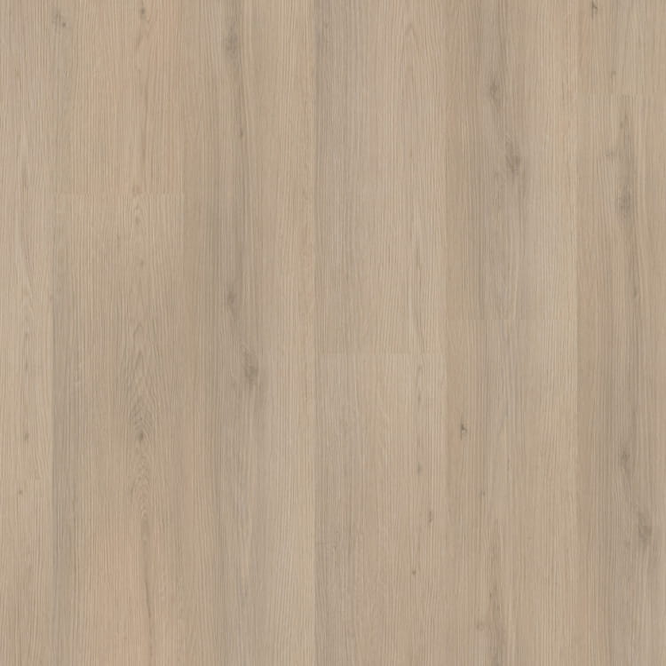 P460 dryback beige