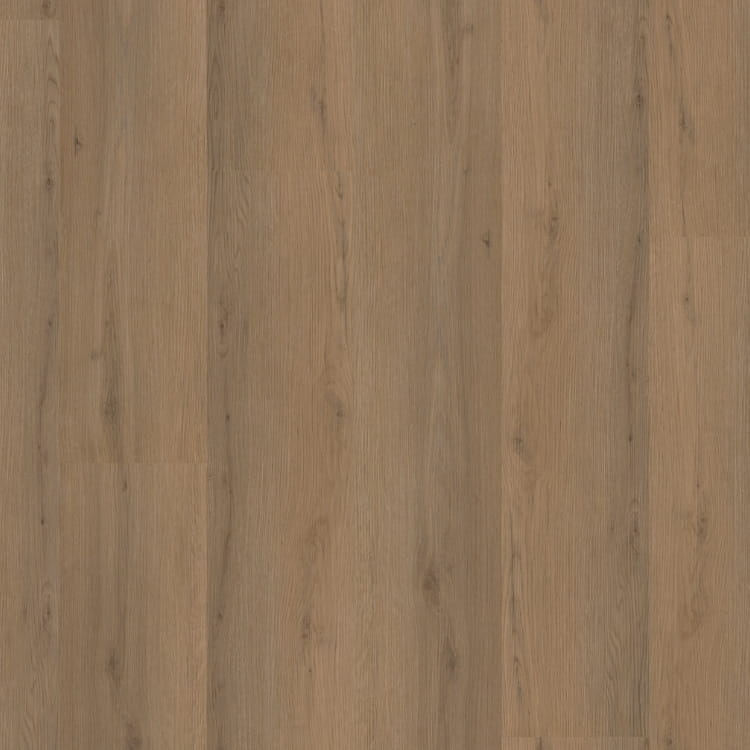 P460 dryback dark oak