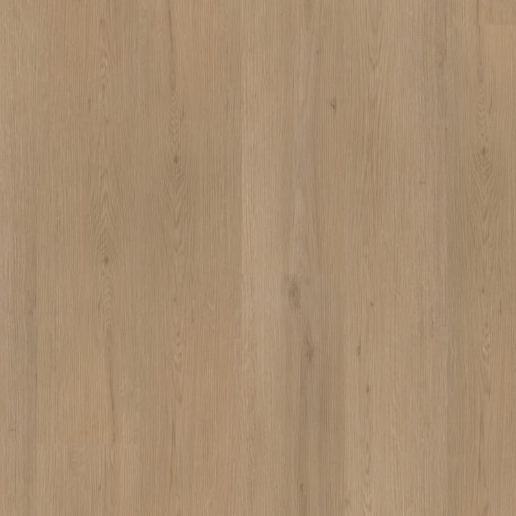 P460 dryback natural oak
