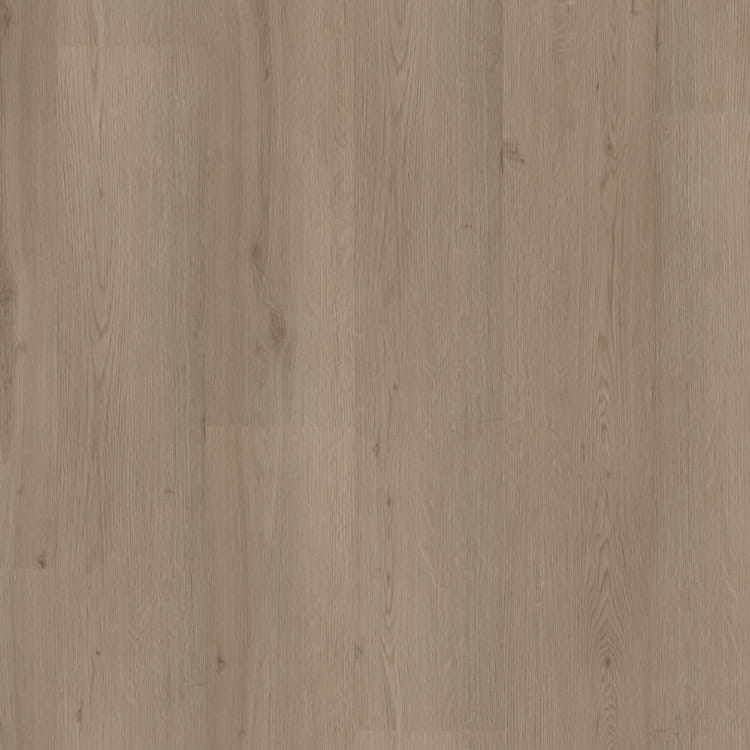 P460 dryback smoky