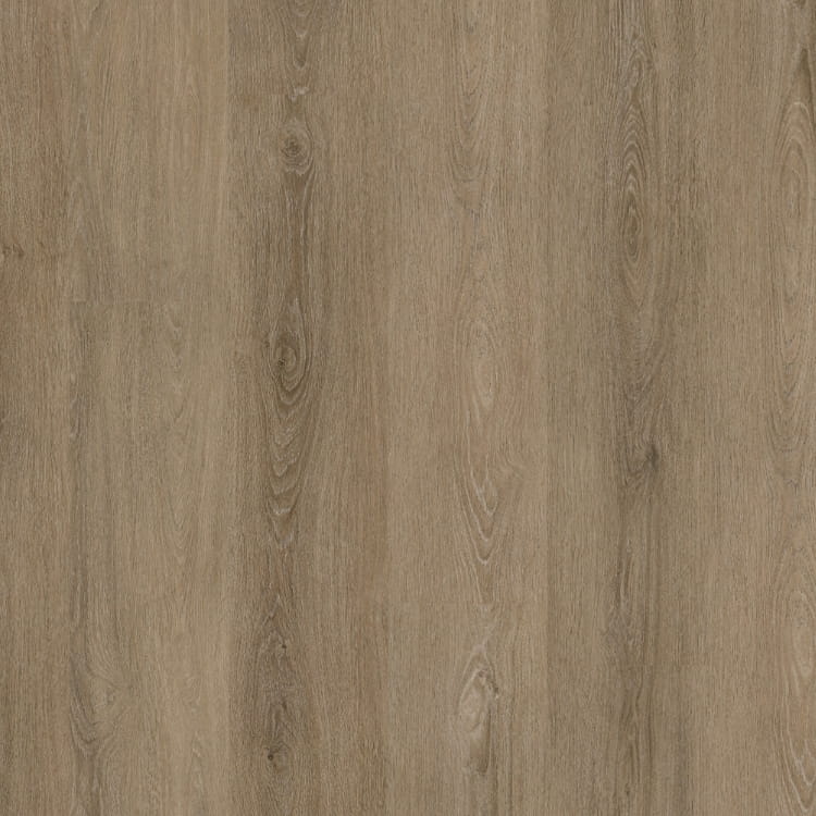P490 dryback smoky