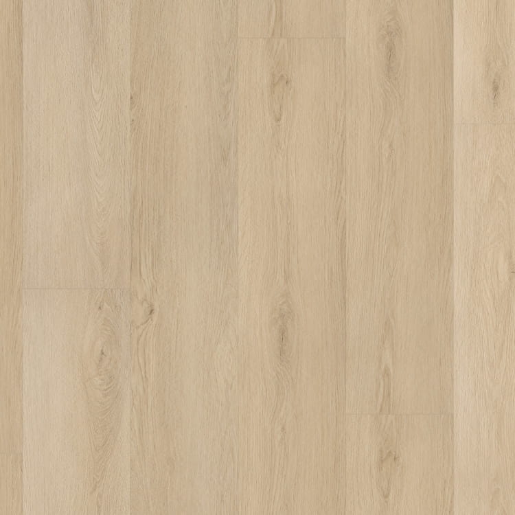 P500 dryback natural