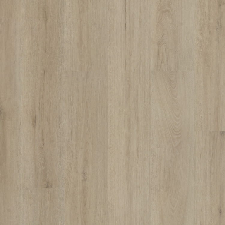 P530 dryback beige