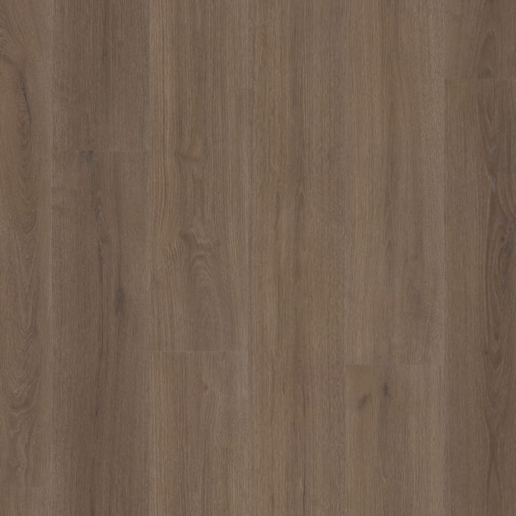 P530 dryback brown