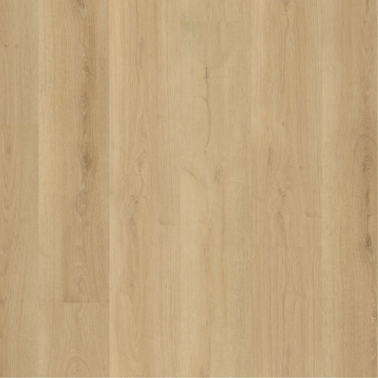 P530 dryback natural